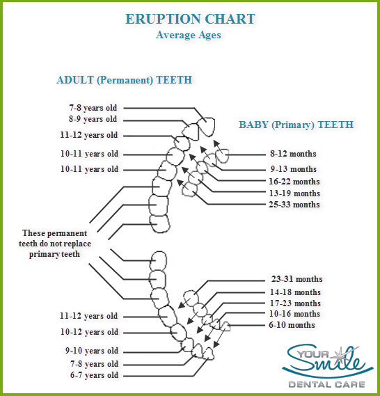 Primary And Permanent Teeth Eruption Chart